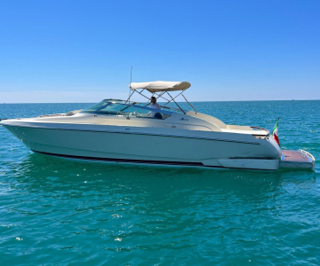 WhatsApp Image 2025-12-13 at 15.22.24